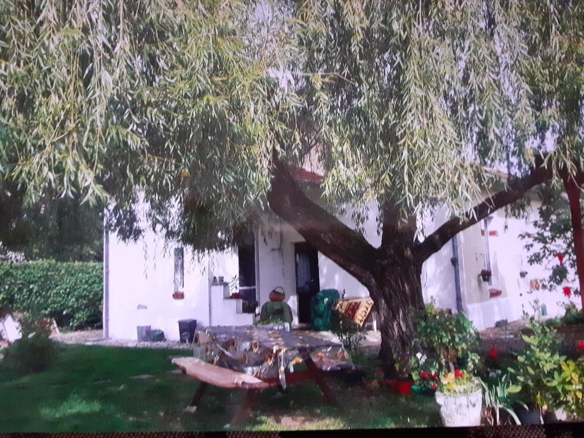 Peti Kaz 호텔 Saint-Seurin-sur-l'Isle 외부 사진